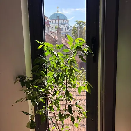 Apartment Pejton Belgrad